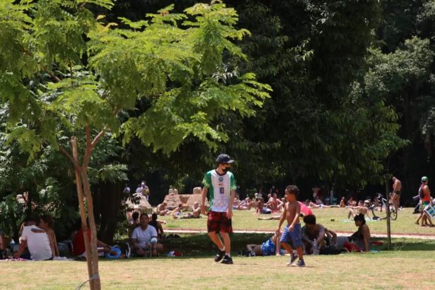 Microempreendedores individuais do turismo em SP podem solicitar financiamento do Fungetur (12)