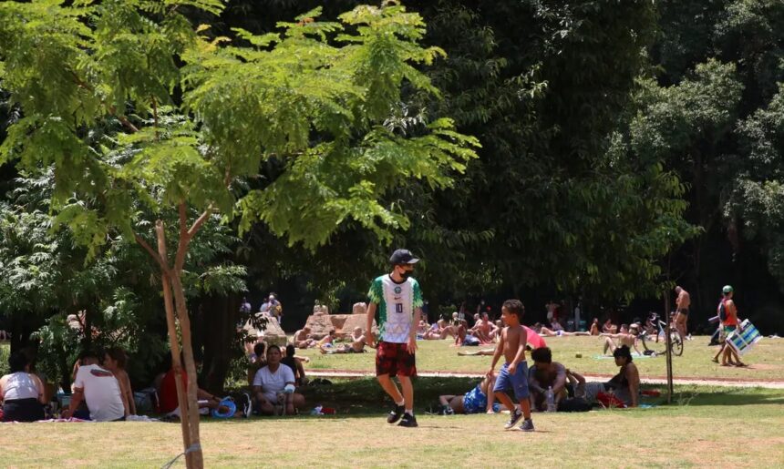 Microempreendedores individuais do turismo em SP podem solicitar financiamento do Fungetur (12)