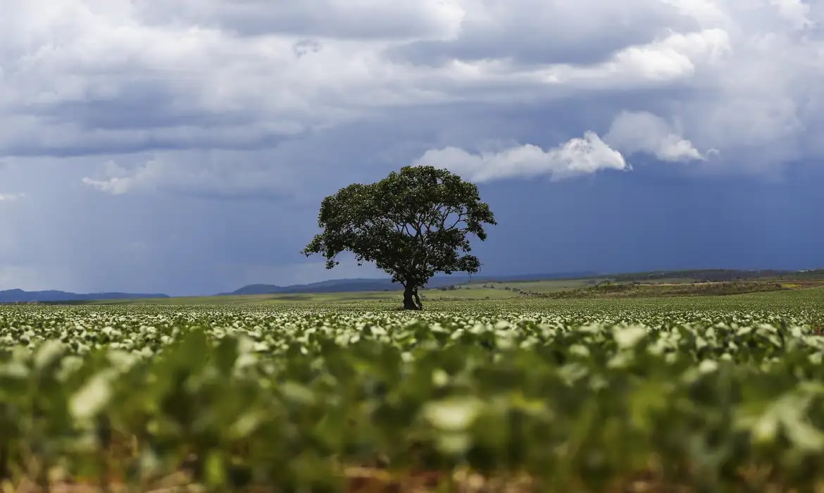 Crédito Rural no Brasil já alcançou R$ 65,7 bilhões em julho e agosto de 2026
