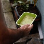 Dengue atinge mais de 58 mil casos em São Paulo, 42 mortos e 30 sob investigação (6)