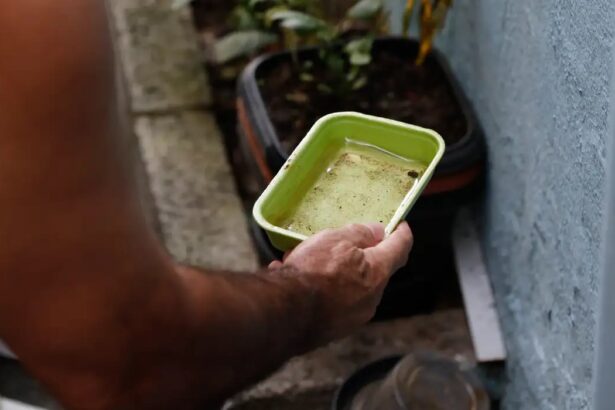 Dengue atinge mais de 58 mil casos em São Paulo, 42 mortos e 30 sob investigação (6)