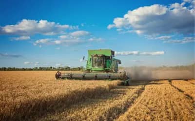 Sapezal lidera ranking de produção agrícola no Brasil (quinta-feira (17))