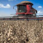 Agronegócio brasileiro enfrenta crise de crédito rural e recuperação judicial recorde