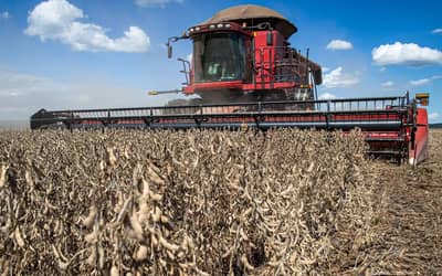 Agronegócio brasileiro enfrenta crise de crédito rural e recuperação judicial recorde