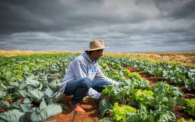 Frente Parlamentar da Agropecuária exige ajustes na Medida Provisória 1.376/2026