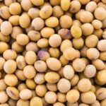 Preços da soja caem na segunda-feira (14) e trigo mantém estabilidade no RS, sobe no Paraná