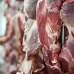 Suspensão das exportações brasileiras de produtos de origem animal para a UE começa em quinta-feira, 3