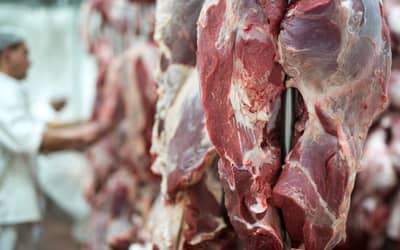Suspensão das exportações brasileiras de produtos de origem animal para a UE começa em quinta-feira, 3