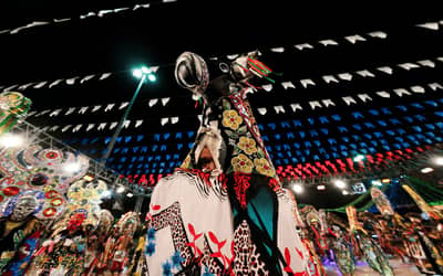 Bumba‑meu‑boi do Maranhão: patrimônio cultural que une tradição, música e religiosidade
