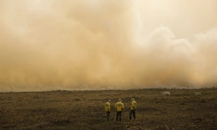 El Niño: Embrapa recomenda medidas para conservar a água e reduzir os efeitos do estresse hídrico e térmico, no Sudeste