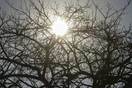 El Niño 2026/2027 ameaça seca no Centro‑Oeste brasileiro (setembro a janeiro de 2026/2027)