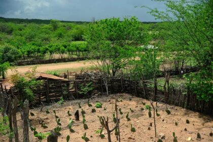 Embrapa alerta Nordeste para risco de seca no El Niño 2026/2027