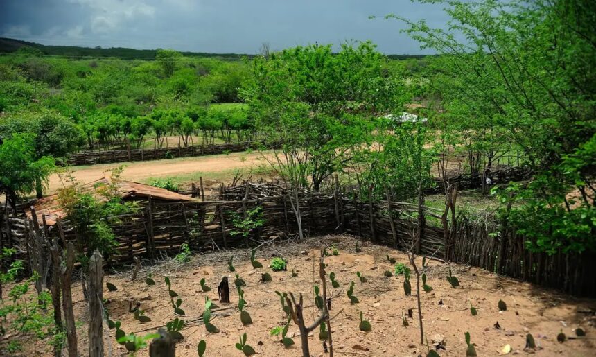 Embrapa alerta Nordeste para risco de seca no El Niño 2026/2027
