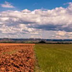 Ministério lança plataforma para orientar produtores diante do El Niño 2026/2027 (2026/2027)