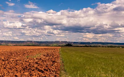 Ministério lança plataforma para orientar produtores diante do El Niño 2026/2027 (2026/2027)
