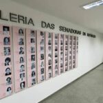 Eleições de 2026: 12 mulheres conquistam recorde de senadoras (4)