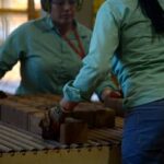 Minerais Críticos e Estratégicos geram 129.423 empregos em 2025, 57% da indústria extrativa mineral