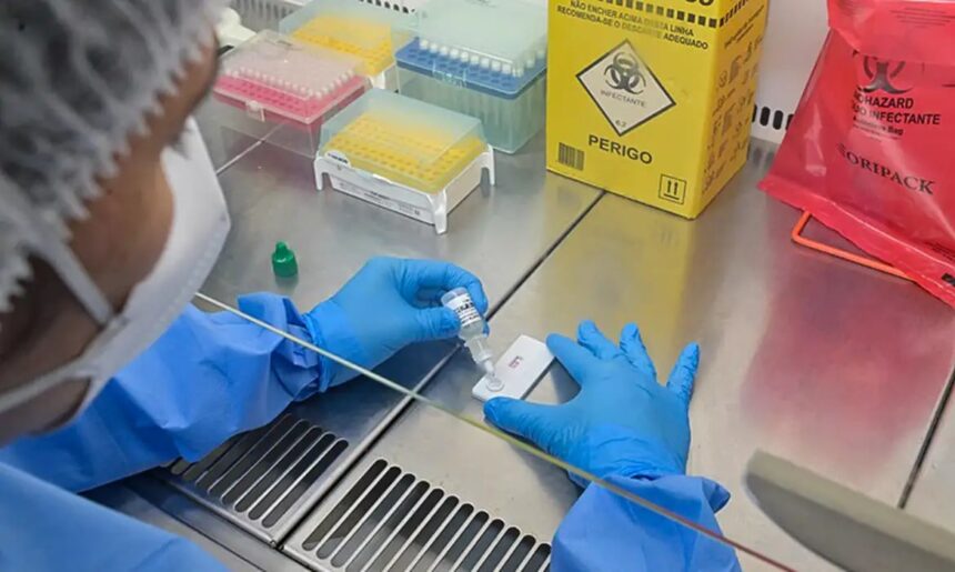 Hantavirose em São Paulo registra quatro casos e uma morte até setembro de 2026
