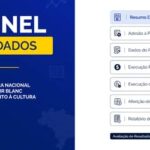 Painel de Dados da Aldir Blanc recebe atualização para facilitar acompanhamento de recursos culturais