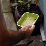 Ministério da Saúde divulga resultados do 2º ciclo do LIRAa 2026