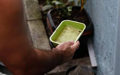 Ministério da Saúde divulga resultados do 2º ciclo do LIRAa 2026