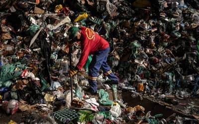 SÃO PAULO (SP): Sem regulamentação, lei municipal contra descartáveis deixa cooperativas com resíduos sem valor