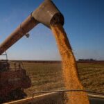 Seguro rural: nova lei proíbe bloqueio de recursos do subsídio federal